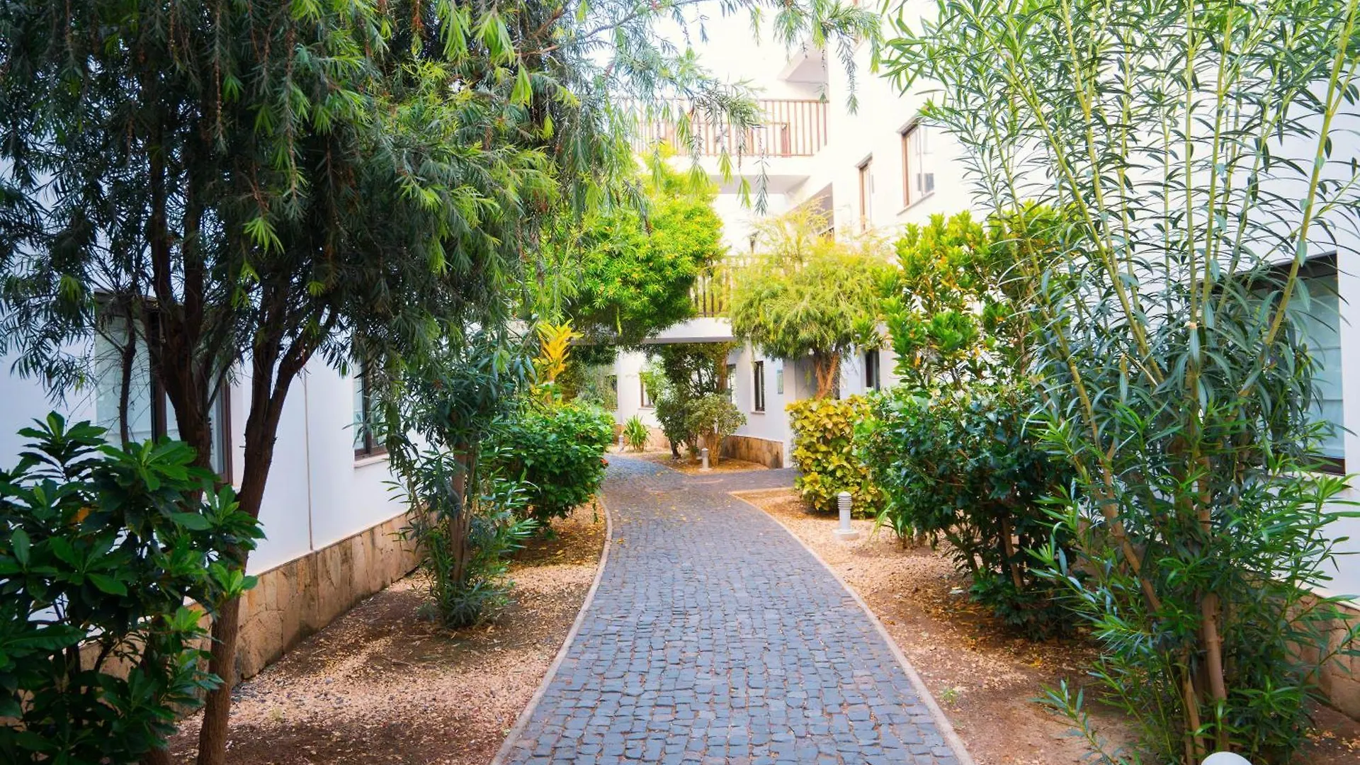 Casa Cubada Lejlighed Santa Maria